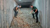 Foto ilustrativa de la nota titulada: Tailandia incauta más de 200 toneladas de basura electrónica ilegal de EU