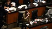Foto ilustrativa de la nota titulada: A gritos, Lilly Téllez exige a Fernández Noroña y a Adán Augusto que rindan cuentas