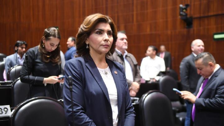 PAN exige a Marina del Pilar que solicite licencia para ser investigada