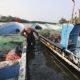 Pescadores afectados sobre derrame de Pemex en Tabasco: “Autoridades se hacen de la vista gorda”