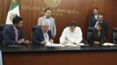 Foto ilustrativa de la nota titulada: Ciudadano ofrece disculpa pública a Fernández Noroña en el Senado (Video)
