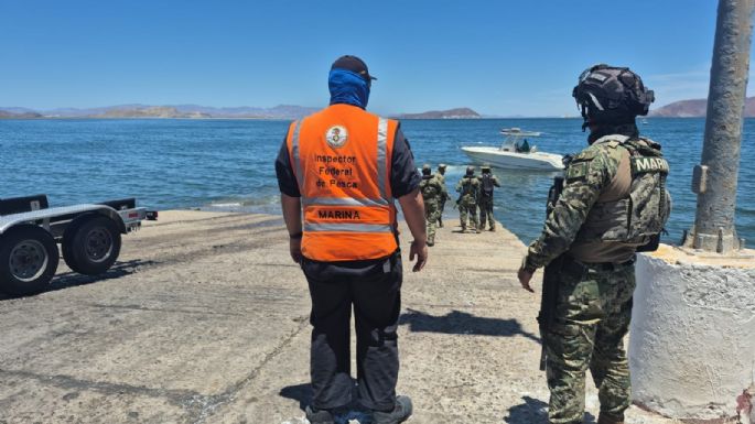 Rescatan a ballena jorobada que estaba enmallada en redes de pesca en Baja California (Video)