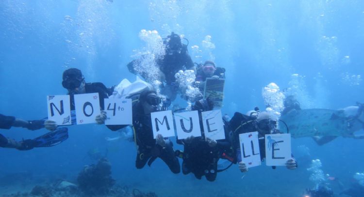 Protestan en el fondo del mar contra la construcción del Cuarto Muelle en Cozumel