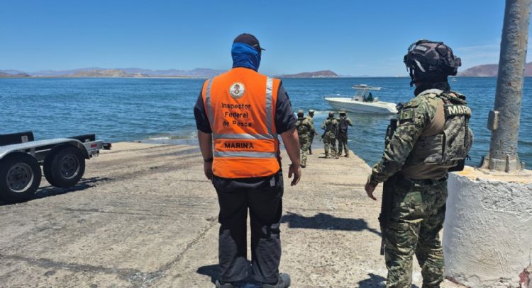 Rescatan a ballena jorobada que estaba enmallada en redes de pesca en Baja California (Video)