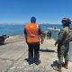 Rescatan a ballena jorobada que estaba enmallada en redes de pesca en Baja California (Video)