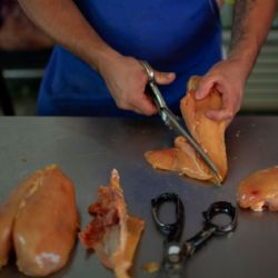 Pollo y carne de res empujan la inflación en mayo