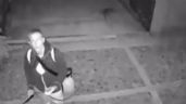 Foto ilustrativa de la nota titulada: Captan a extranjero arrojando ácido a perros en Oaxaca (VIDEO)