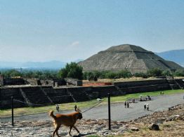 Reabren acceso a la Pirámide de la Luna en Teotihuacán