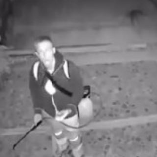 Captan a extranjero arrojando ácido a perros en Oaxaca (VIDEO)