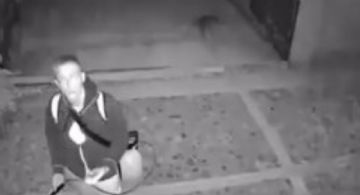 Captan a extranjero arrojando ácido a perros en Oaxaca (VIDEO)
