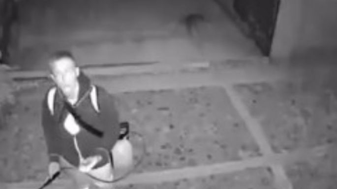 Captan a extranjero arrojando ácido a perros en Oaxaca (VIDEO)