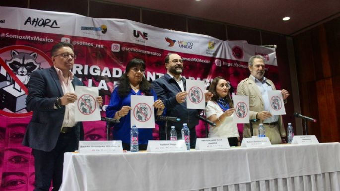 SomosMX advierte presencia de "mapaches electorales" en comicios judiciales