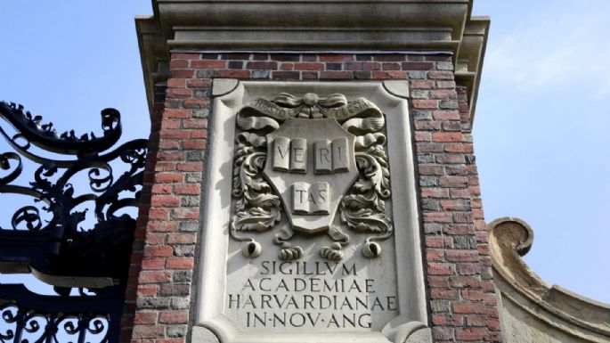 Trump apunta a terminar contratos federales con Harvard: ¿por qué arremete contra la universidad?
