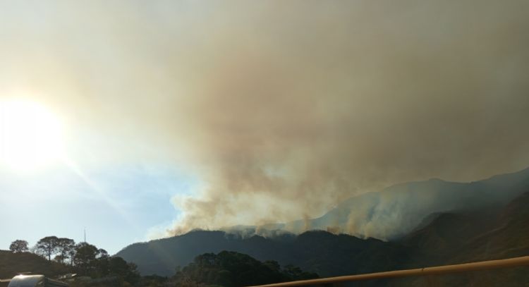 Incendios forestales en zonas serranas de Sinaloa continúan después de dos meses (Video)