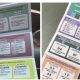 FISEL abre investigación por acordeones de la elección judicial