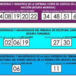 Tendencias en redes auguran voto diferenciado por zona geográfica en elección judicial