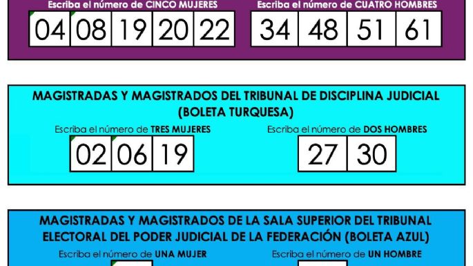 Tendencias en redes auguran voto diferenciado por zona geográfica en elección judicial