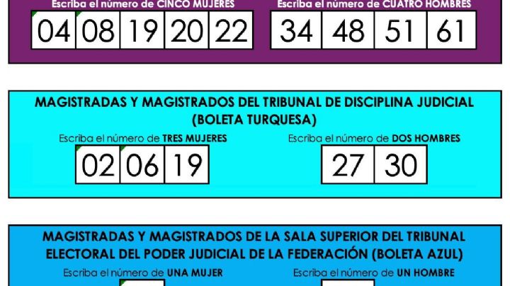 Tendencias en redes auguran voto diferenciado por zona geográfica en elección judicial