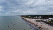 Foto ilustrativa de la nota titulada: Sargazo alcanzará niveles sin precedentes en playas mexicanas este año: advierte la UNAM