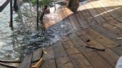 Foto ilustrativa de la nota titulada: Se desploma muelle en el lago de Tequesquitengo; más de 30 personas caen al agua (Video)