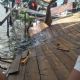 Se desploma muelle en el lago de Tequesquitengo; más de 30 personas caen al agua (Video)