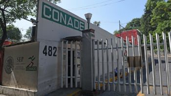 Entrenadores deportivos: el abuso tiene permiso