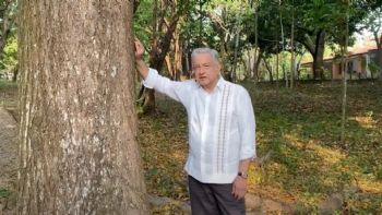 AMLO, el ausente en Morena