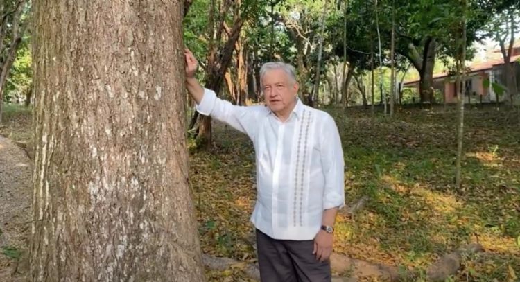 AMLO, el ausente en Morena