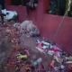 Estampida humana en templo de la India deja seis muertos