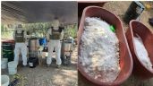 Foto ilustrativa de la nota titulada: Desmantelan narcolaboratorio en Michoacán; producía dos toneladas de metanfetamina por semana