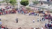Foto ilustrativa de la nota titulada: Torturan a dos gatos en fiestas patronales de Xichú, Guanajuato (Video)