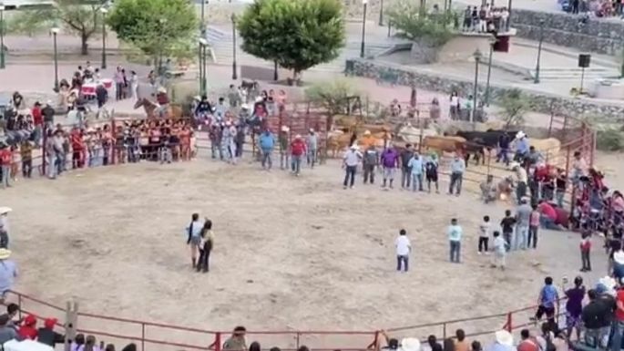 Torturan a dos gatos en fiestas patronales de Xichú, Guanajuato (Video)