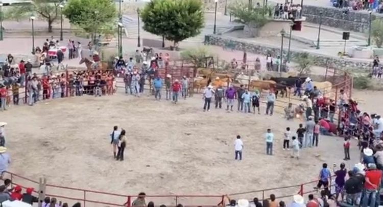 Torturan a dos gatos en fiestas patronales de XichÃº, Guanajuato (Video)