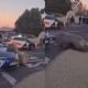 Elefante marino aparece deambulando por una calle de Sudáfrica