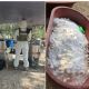 Desmantelan narcolaboratorio en Michoacán; producía dos toneladas de metanfetamina por semana