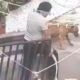 Rescatan a tres perros víctimas de maltrato animal en alcaldía Álvaro Obregón (Video)