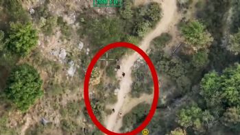 Perciben "olores tóxicos", llaman a emergencias y descubren narcolaboratorio en Hidalgo