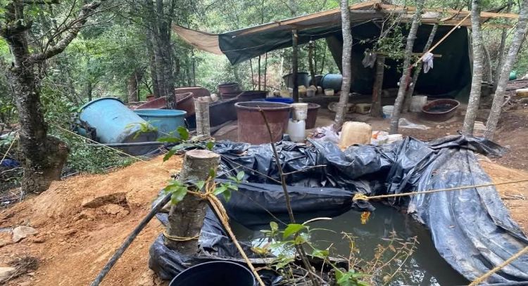DEA revela que tres cárteles del narcotráfico operan en Hidalgo
