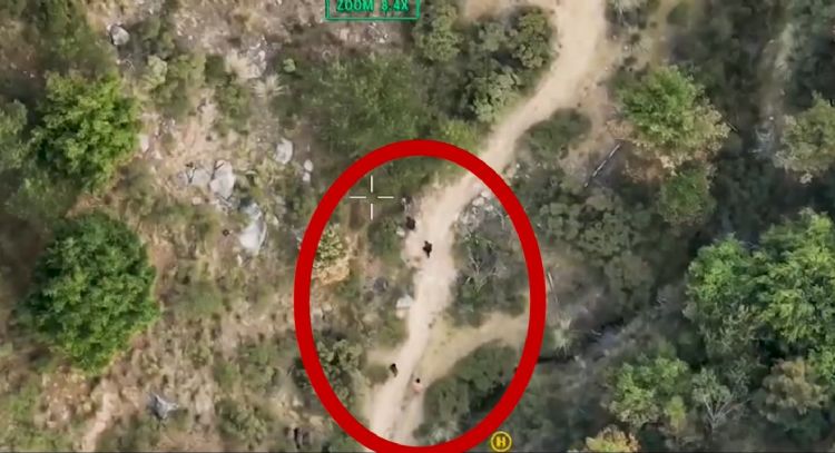 Perciben "olores tóxicos", llaman a emergencias y descubren narcolaboratorio en Hidalgo