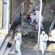 Una mujer muere al explotarle una bomba que iba a colocar afuera de un banco en Grecia
