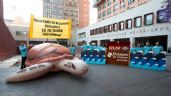 Foto ilustrativa de la nota titulada: Una víctima de las regresiones al amparo: la justicia ambiental efectiva
