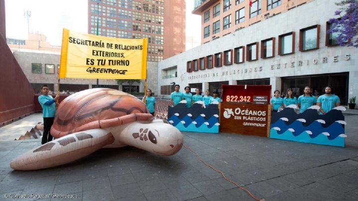 Una víctima de las regresiones al amparo: la justicia ambiental efectiva