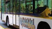Foto ilustrativa de la nota titulada: Autoridades de la CDMX confirman "pinchazo" en Pumabús de Ciudad Universitaria