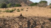 Foto ilustrativa de la nota titulada: Denuncian que más de 500 jóvenes están recluidos por una organización criminal en Tierra Caliente