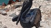 Foto ilustrativa de la nota titulada: Costera de Paraíso, Tabasco amanece contaminada de chapopote; exigen a Pemex explicación (Videos)