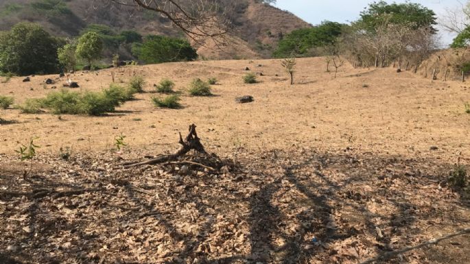 Denuncian que más de 500 jóvenes están recluidos por una organización criminal en Tierra Caliente