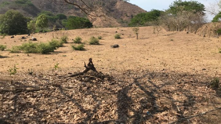 Denuncian que más de 500 jóvenes están recluidos por una organización criminal en Tierra Caliente