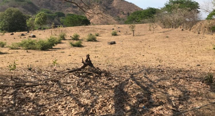 Denuncian que mÃ¡s de 500 jÃ³venes estÃ¡n recluidos por una organizaciÃ³n criminal en Tierra Caliente