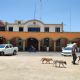 Teuchitlán entre incertidumbre y tensión tras detención del alcalde Murgía por caso Rancho Izaguirre