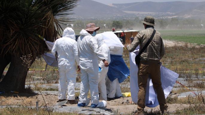 Colectivo encuentra fosa con restos humanos en rancho de Palmar de Bravo, Puebla